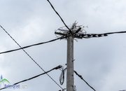 Осигурен е дом за двойката щъркели на ул. „Преслав“ 44