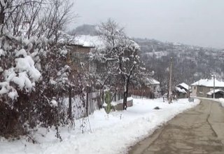 Трябва ли ловците да бъдат включени в битката срещу престъпността по селата Скрийншот