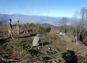 Горските площи, унищожени при миналогодишния пожар в м. Стубеля, ще бъдат залесени