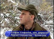 Жители на Зелин протестират срещу сеч в гората