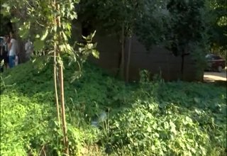 Скрийншот