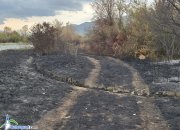 Пожарът, който обгази Ботевград, е ликвидиран. Подозират умишлен палеж