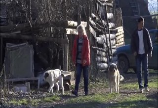 75-годишна жена нападната от трима маскирани Скрийншот