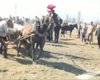 Скрийншот