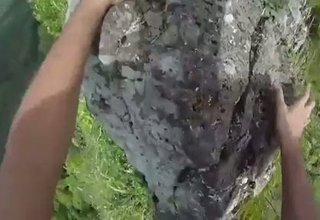 Скрийншот