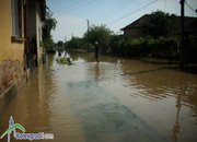 Сдружение „На ти с природата” продължава да събира помощи за бедстващите в Мизия
