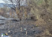 Пожарът, който обгази Ботевград, е ликвидиран. Подозират умишлен палеж