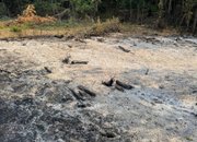 Благодарение на бързата намеса на доброволци е овладян пожарът в землището на Липница
