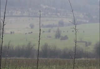 Над 74 хиляди декара земеделска земя стопанисва община Ботевград Скрийншот