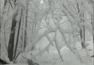 Скрийншот