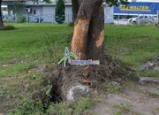 40-годишен ботевградчанин пострада при  катастрофа