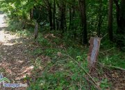 Над половин километър мантинели са откраднати в района от Рибни вир до Витиня (допълнена)