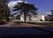 Щъркелът дойде!