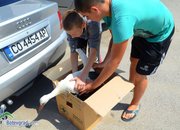 Момчета от Скравена спасиха болен щъркел