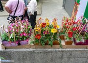 Среща на поколенията събра бивши и настоящи гимназисти
