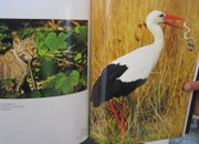Ученици  от СОУ "Христо Ясенов" взеха участие в конкурса „Черно море”