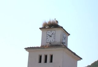 Какво мислят гражданите за предложенията за ограничаване на мандатите и смяна на националния празник Скрийншот