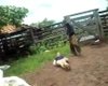 Скрийншот