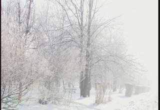 Скрийншот