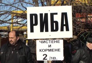 Цените на шарана преди Никулден – без промяна Скрийншот