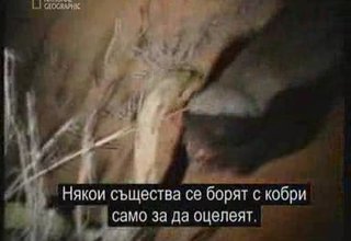 Екстремни Моменти Номер 2 Скрийншот