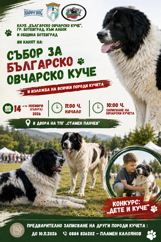 Ботевград отново събира любителите на кучета на събор и изложба на 14 ноември