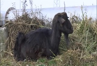 Скрийншот