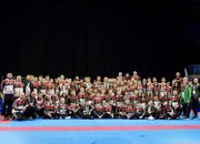 1 златен и 5 бронзови  европейски медала за Таек-кион