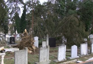 Силният вятър нанесе и други поражания. На места има прекъснато електричество, съборение са дървета Скрийншот