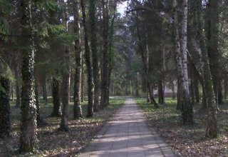 Общинското предприятие БКС почиства парка на Техническия колеж Скрийншот