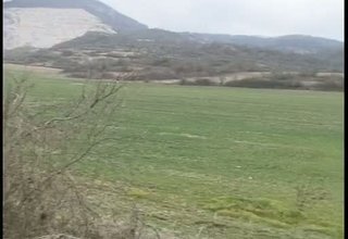 Стопани се оплакват, че свободно пуснати животни унищожанат посевите и градините им Скрийншот