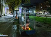 Тържествено запалиха светлините на коледна елха в центъра на Ботевград