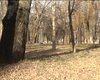 Скрийншот