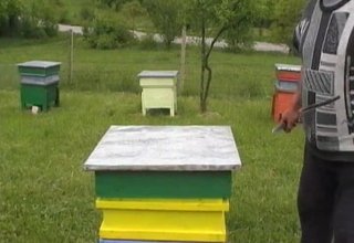 Пчеларите от Ботевград, Монтана и сръбския град Бела Паланка участват в съвместен проект Скрийншот