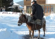 Тракийският бог Сабази благослови етрополци