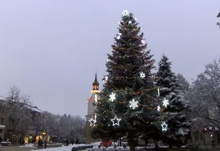 Днес в 17 часа бяха запалени коледните светлини в Ботевград Скрийншот