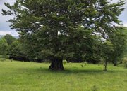 Ехо от туристическия преход в Ржана планина
