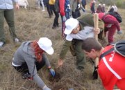 Ученици от ППМГ „Акад. проф. д-р Асен Златаров" участваха в залесителна кампания в Сърбия