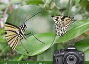 Olympus пуска двa ултратънки DSLR фотоапарати