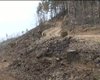 Скрийншот