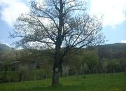 Утре е храмовият празник в Рибарица