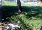ОБЩИНА ЕТРОПОЛЕ ОТБЕЛЯЗА СЕДМИЦАТА НА ГОРАТА И ДЕНЯ НА ЗЕМЯТА СЪС ЗАЛЕСИТЕЛНА АКЦИЯ
