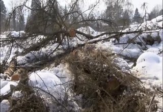 Поредните ромски набези на площадката на бившия завод "Чавдар" Скрийншот