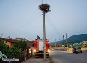 Пожарникари свалиха умряло щъркелче от гнездо