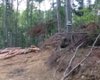 Скрийншот