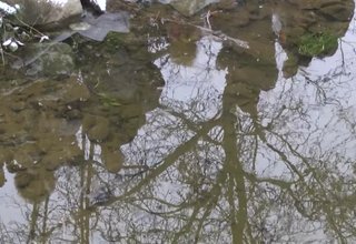 Божидар Иванов бе късметлията, който извади кръста от водите на Стара река Скрийншот
