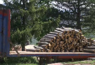 Камиони, натоварени с отсечени дърва в района на Братската могила в Рашково, предизвикаха многобройни сигнали на наши зрители Скрийншот