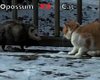 Скрийншот