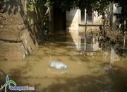 Сдружение „На ти с природата” продължава да събира помощи за бедстващите в Мизия