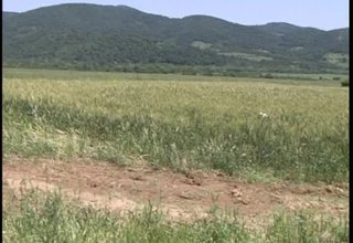 Комасацията на ниви в България да се прави дори и ако само един от съсобствениците на общата земя каже да за разместването на парцелите. Скрийншот